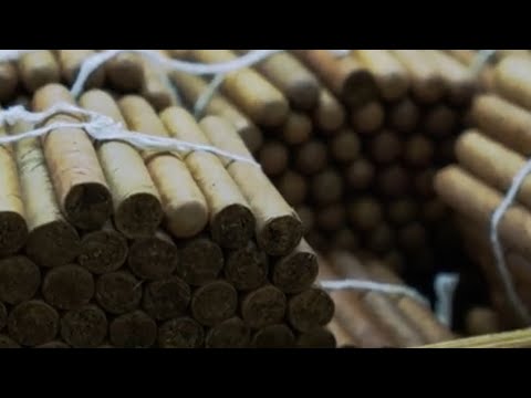 Capítulo 3. Recordando los inicios de una aventura 