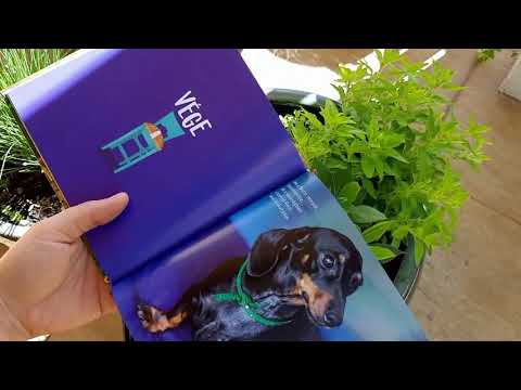 Borsi mesék: Borsi palacsintája - Borsi esküvőn