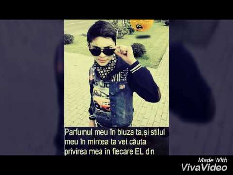 Vagabondul de meserie