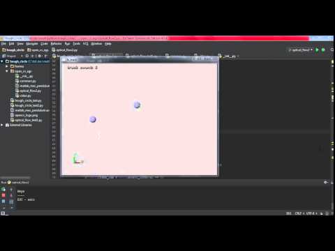 Pendulum Opticalflow Python Red