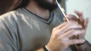 Andrebardo (The Fianna)