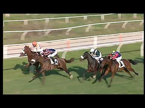 Galoppo 21/12/2020 - 3ª corsa