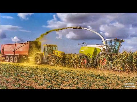 Claas Jaguar 960 & New Holland FR780 // Mais häckseln