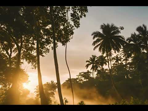 Jerome Da Chef - Pay Bills (Lyric Video)