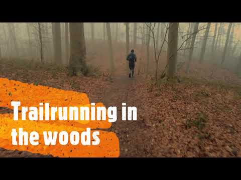 Trailrunning in the woods