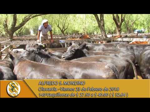 23-02-18 Venta de Hacienda al Kilo - Alfredo S. Mondino - Olavarria.