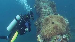 preview picture of video 'MSD Dive Truk Lagoon - Fujikawa Maru part one'