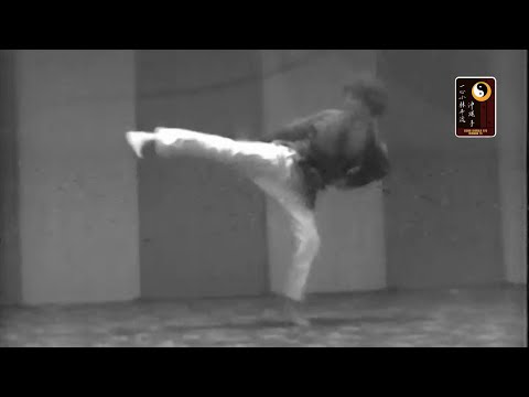 Kick Combinations: Round, spinning Back, Front, Lunge step spinning Heel – Shihan Robert Cusumano