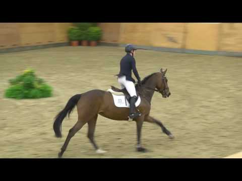 103. Curly Girl v. Cancara - Landgraf I