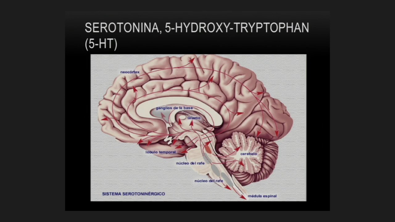 Gabriel Ahumada Curiel-0