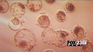 How risky is egg donation? | FOX23 News Tulsa