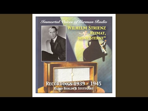 Mädel ich bin dir so gut