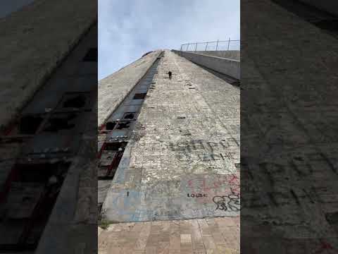 Malinois K9  Dog Albania - Maxi 8 Months