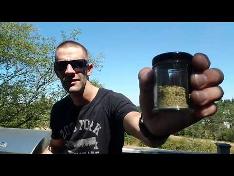 LET'S SMOKE MY BOSS's WEED !!!!!!!!!