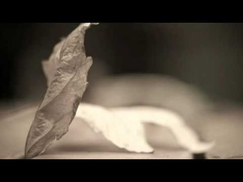 Arvo Pärt - Für Alina / Christo Popov, piano