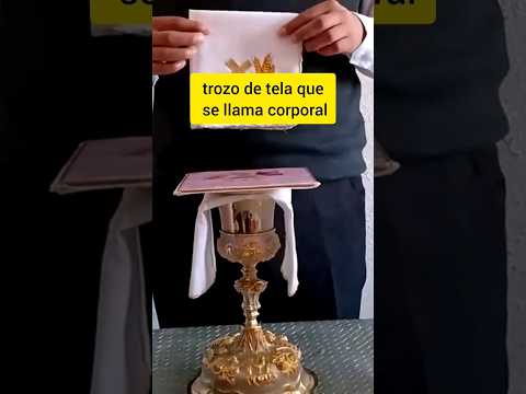 Video relacionado