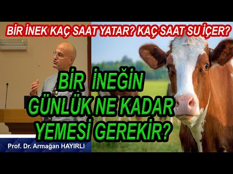 , title : 'Prof. Dr. Armağan HAYIRLI Bir inek ne kadar yem yemesi gerekiyor? Arpa Posası işe yarar mı?'