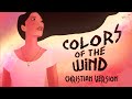 Colors of the Wind (Christian Version)