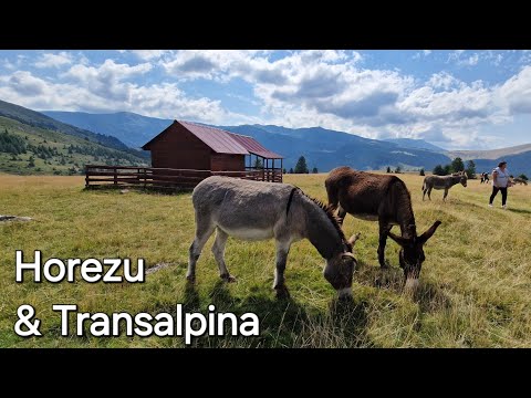 ROMANIA: Horezu traditional ceramics & Transalpina