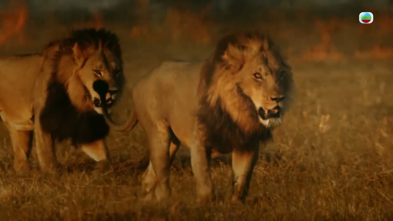 Please delete this, Wrong trailer