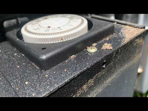 Ants Found in the Pool Timer in Point Pleasant Beach, NJ