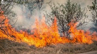 Arab Climate Futures