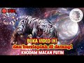 Jika Berani Membuka Video Ini Maka Bersiaplah Di Hampiri Khodam Pendamping Batiniyah