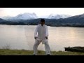 Dajia Form Part 1 Funei Style Old Yang Taijiquan Ángel Mesa