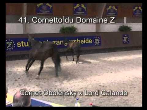 Cornetto du domaine z