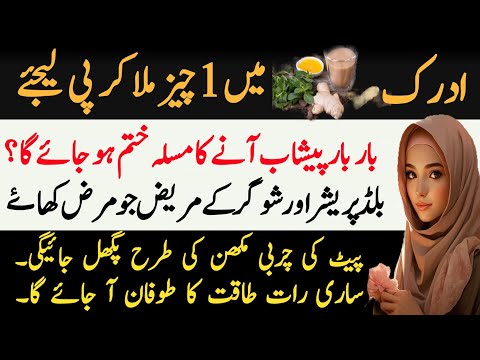 Best Life Quotes Urdu /Best Quotes About Life/ Motivational Quotes/Rumi Quotes/ Hazrat Ali/ Golden