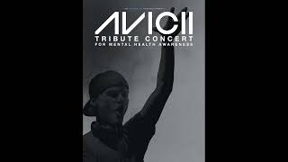 Avicii - Hey Brother (Live Vocals by Dan Tyminski)