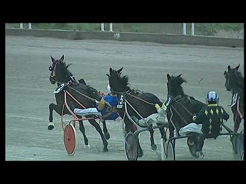 Trotto 05/01/2021 - 1ª corsa