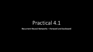  - Practical 4.1 – RNN forward and backward