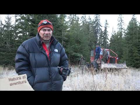 Natura si aventura: explorare pe Valea Vaserului in Maramures