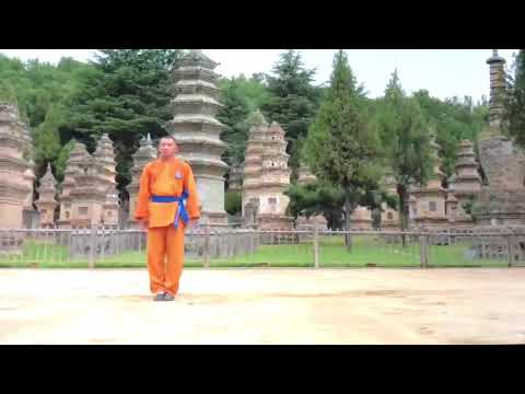 Shaolin Wu Xing Quan