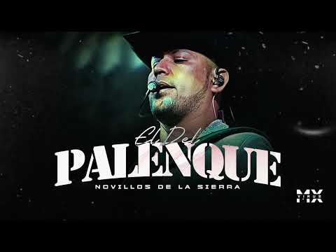 El Del Palenque - Novillos De La Sierra (Audio) 2025