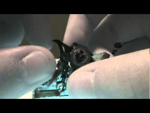 Warhammer/Night Goblins