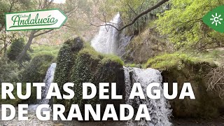 Thumbnail del capítulo