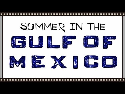 Summer In The Gulf of Mexico (Neumann Films Short Film Competition)