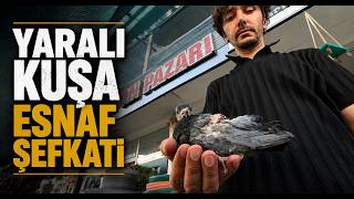  Yaralı Kuşa Esnaf Şefkati
