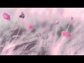 3 HOURS Best Relaxing Music | Romantic Piano ...