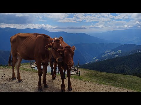 Family Hike in South Tyrol - Episode 1: Plose