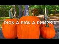 Pick A Pick A Pumpkin Signs In The Song Pumpkin Pile Eyes Smile Round And Clean Halloween