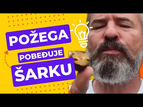 Madžarka & Požega pobeđuje ŠARKU!!! Da li naša Požegača može da se izbori sa šarkom šljive?