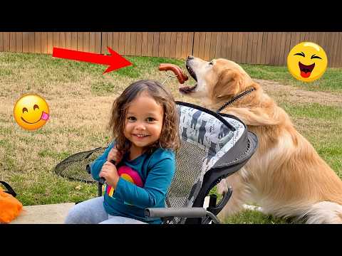When God Has To Exclaim "OH MY GOD!!" at This Hilarious Dog 🐶😂| TOP Funny Dog Videos 2026