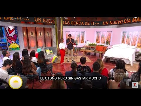 Jesus Pacheco Landscape and Interior Design Studio YouTube video thumbnail 21