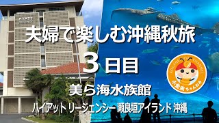 Download lagu 夫婦で楽しむ沖縄秋旅 3日目 美ら海水族館 ハイアットリージェンシー瀬良垣アイランド沖縄 mp3 Download lagu 夫婦で楽しむ沖縄秋旅 3日目 美ら海水族館 ハイアットリージェンシー瀬良垣アイランド沖縄 mp3
