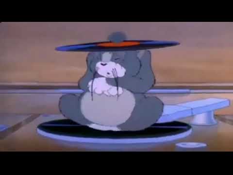 Dehao Zhang   Ching Chang Hon