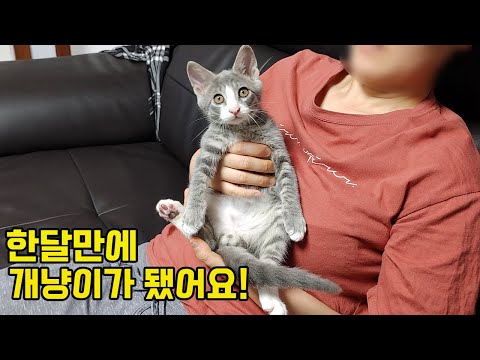 아이콘