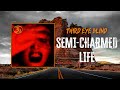 Third Eye Blind Semi Charmed Life Lyrics